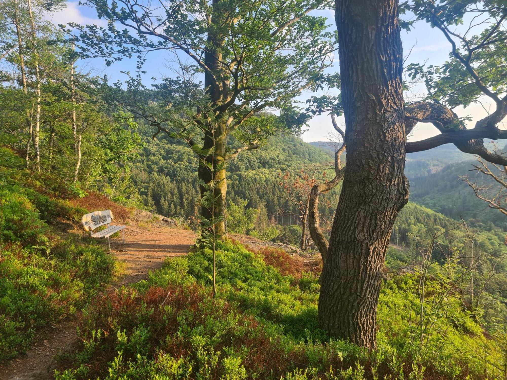 Ferienwohnung Auszeit Tabarz/Thüringer Wald Exterior foto
