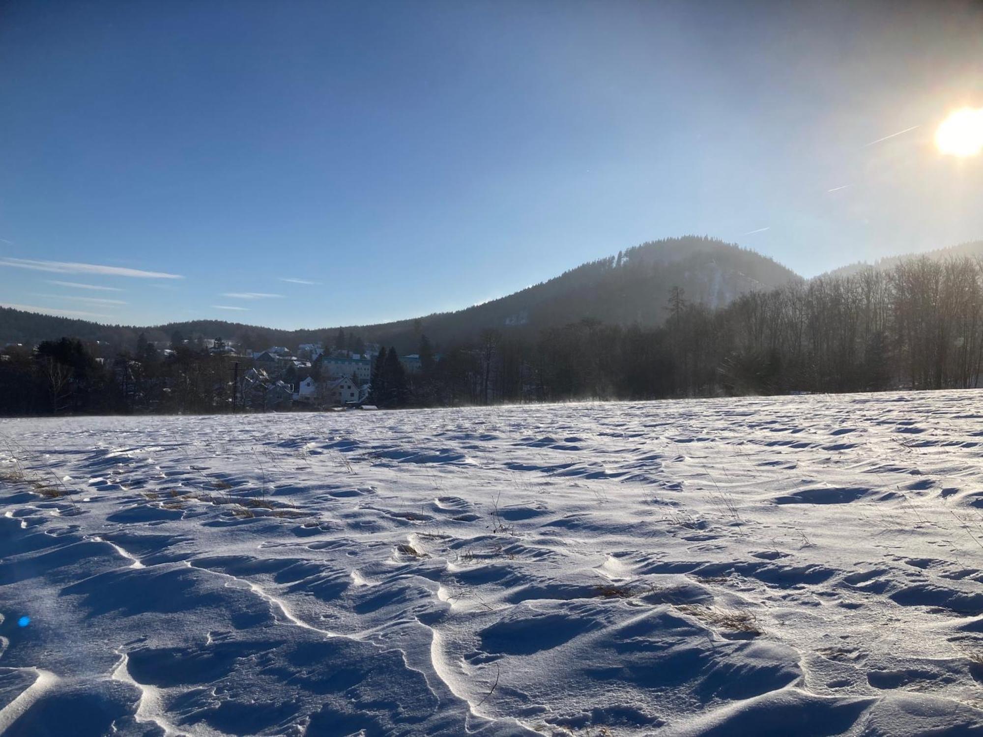 Ferienwohnung Auszeit Tabarz/Thüringer Wald Exterior foto